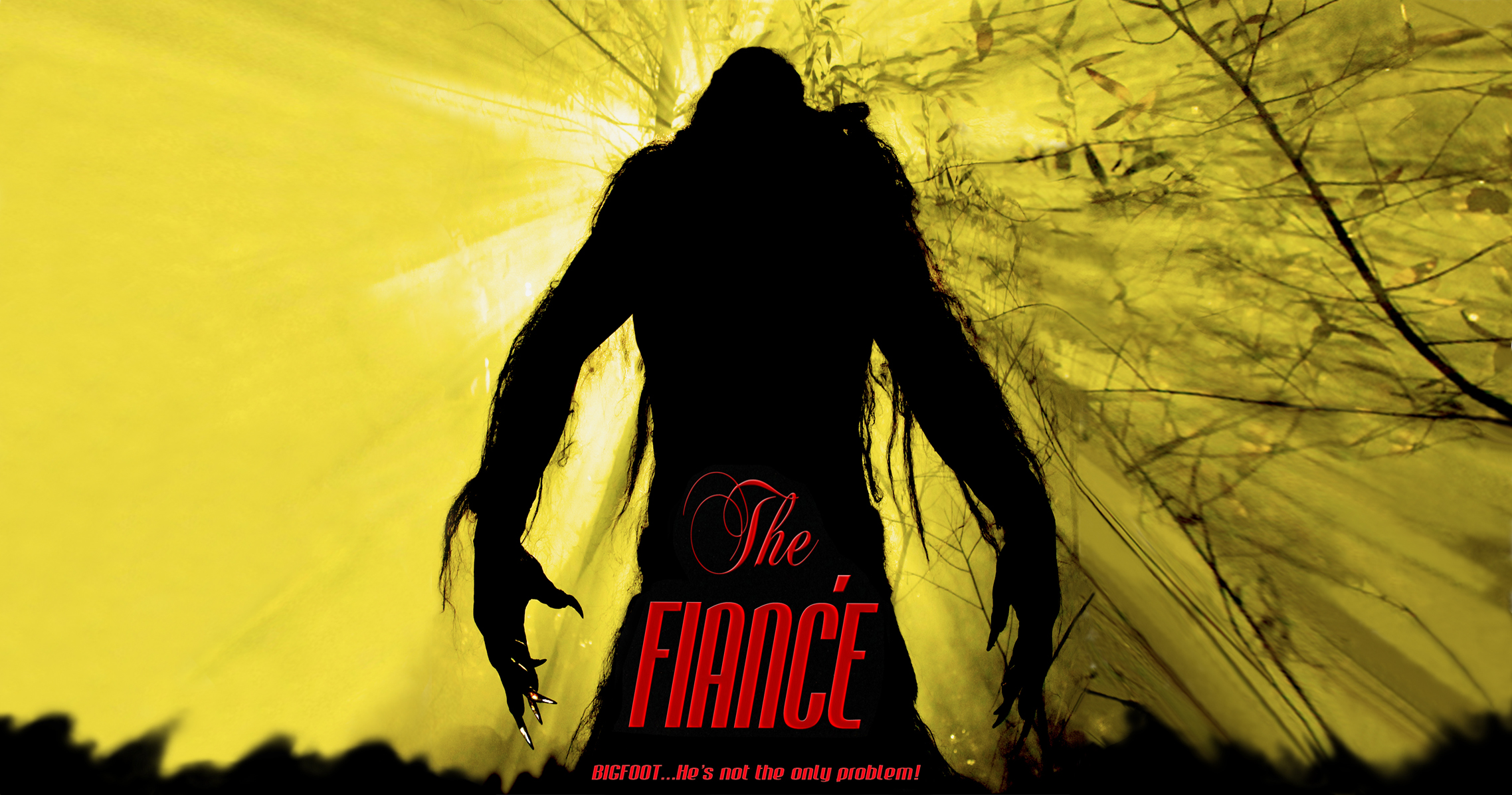 The Fiancé (2016)