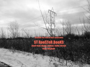 St Rooster Books