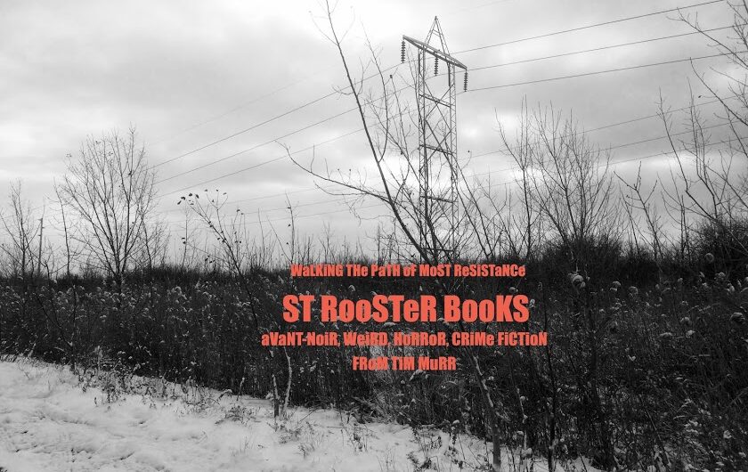 St. Rooster Books