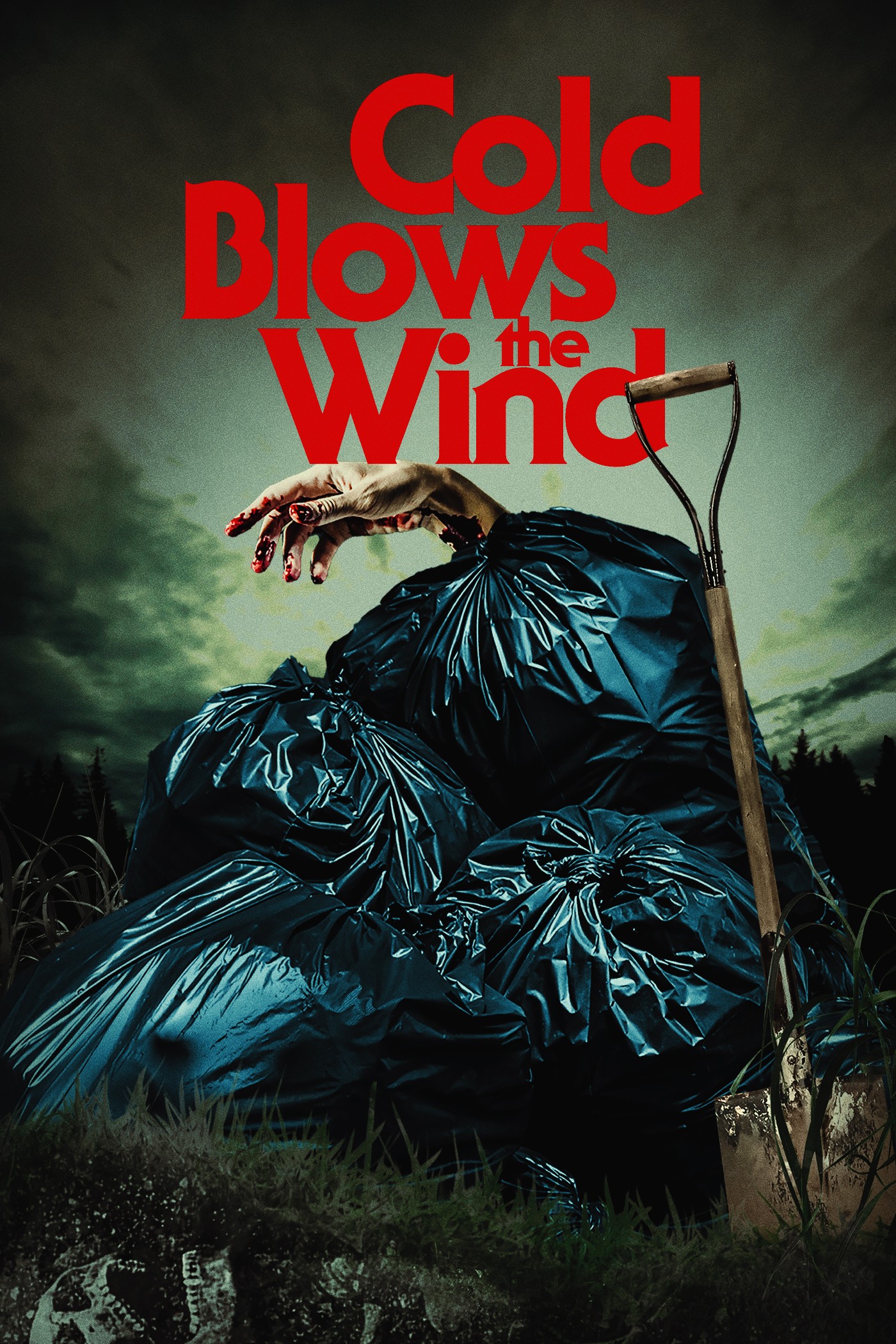 Cold Blows The Wind Poster